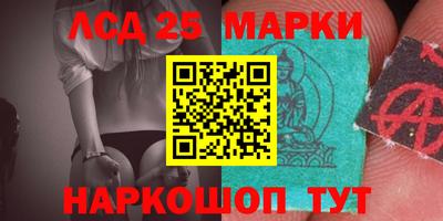индика Обь