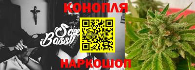 индика Обь