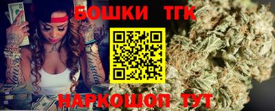 индика Обь