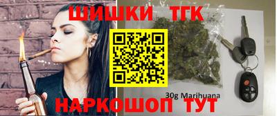 индика Обь