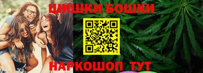 индика Обь