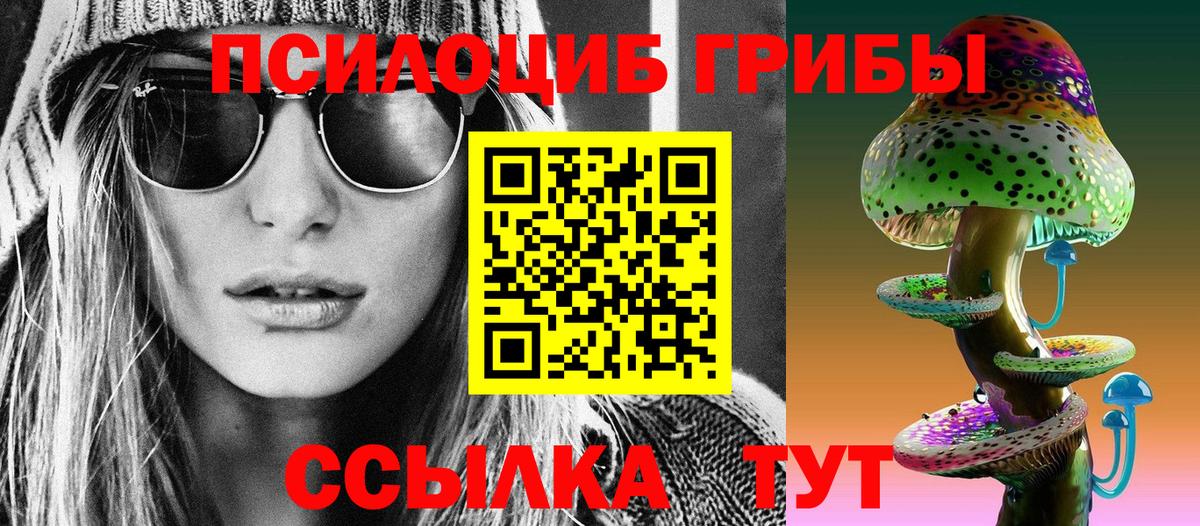 Галлюциногенные грибы Psilocybine cubensis Кондопога