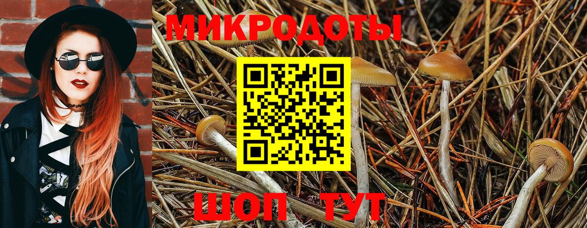 Кондопога  купить наркотики сайты  Вход с VPN  Галлюциногенные грибы Cubensis  Псилоцибиновые грибы Magic Shrooms 
